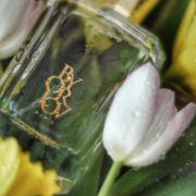 Photo by Lichipeonyparf