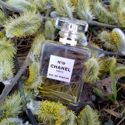 Chanel No 19 Eau de Parfum Chanel parfum - un parfum de dama