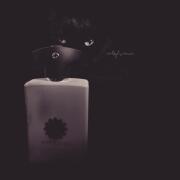 Photo by Catsylvania