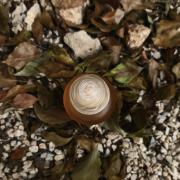 Photo by Лейка@@@