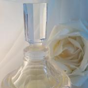 32ml 新品未使用】SHISEIDO white rose NATURAL | www.carmenundmelanie.at