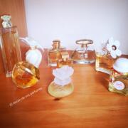 Photo by Perla Vencis