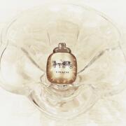 Photo by fabrice1977