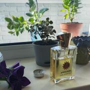 Photo by Perry Parfum