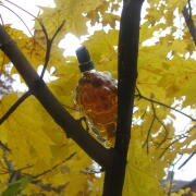 Photo by Vibia Sabina