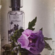 Cieli di Seta Salvatore Ferragamo аромат - аромат для жінок та