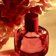 HIBISCUS 90 ML