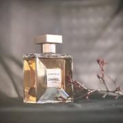 Gabrielle Chanel perfume - a fragrance for women 2017
