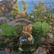 Photo by brilliance_m2