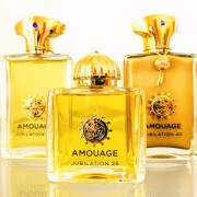 Jubilation XXV Man Amouage 古龙水- 一款2007年男用香水