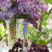 Photo by Sweet Orchid