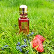 Photo by Марта Весна