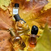 Bottega Veneta Bottega Veneta perfume - a fragrance for