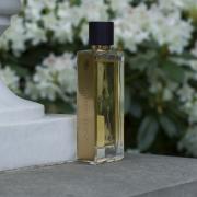 Joyeuse Tubéreuse Guerlain perfume - a fragrance for women Joyeuse Tubéreuse Guerlain perfume - a fragrance for women