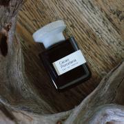 Photo by elephannnnnt