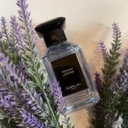 Frenchy Lavande Guerlain perfume - a fragrance for women and