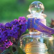 Lavandula Penhaligon's perfume - a fragrance for women 