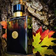 Versace pour homme oud noir fragrantica hot sale