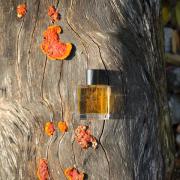 Photo by olfactory.sommelier