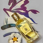 Pegaso Etro perfume - a fragrance for women and men 2009