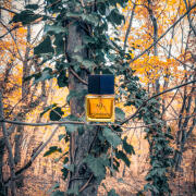M7 Yves Saint Laurent cologne - a fragrance for men 2002