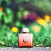 AMOUAGE GUIDANCE 46 香水 amouage_guidance_46_extrait_de