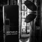 香水(ユニセックス) CHANEL ANTAEUS POUR HOMME 100ml Antaeus Pour Homme by Chanel 100ml EDT — Perfume NZ