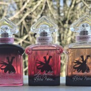La Petite Robe Noire Honey Rose Guerlain perfume - a new fragrance
