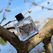 Guerlain Homme Eau de Parfum (2016) Guerlain コロン - 2016年の男性