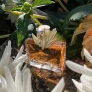 ケンゾー ジャングル ル・ティグレ　50ml 廃盤　入手困難 Kenzo Jungle le Tigre Kenzo аромат - аромат для жінок 1997