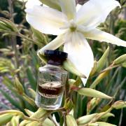 Photo by misia.skrzypek