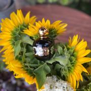 Photo by Eugenia4one