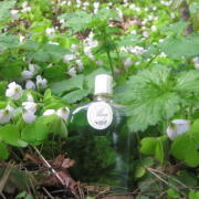 Photo by Vibia Sabina