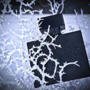 Photo by ЮлияЛето