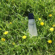 Iceberg Iceberg perfume - a fragrance for women 1989