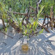 Photo by magdalena_17