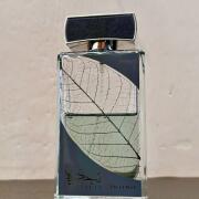 Najdia Intense Lattafa Perfumes cologne - a new fragrance