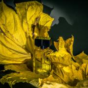 Photo by Bloodberry1