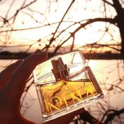 Photo by Svat&aacute;Alžběta