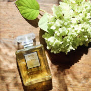 Chanel No 19 Poudre Chanel perfume - a fragrance for women 2011