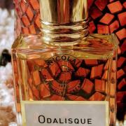 Photo by feedelaforet