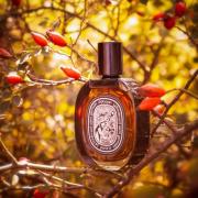 Tempo Diptyque perfume - a fragrance for women and men 2018
