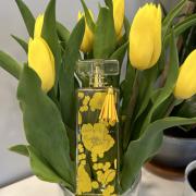 Photo by OnTheNose1982