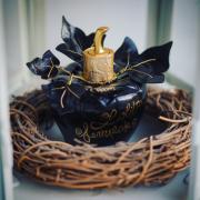 Photo by RadionovaRina