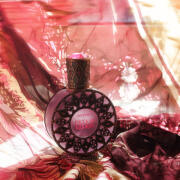 Photo by Ин_жир