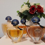 Shalimar Eau de Parfum Guerlain 香水 - 1990年の女性用 フレグランス