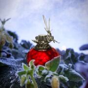 Photo by Лейка@@@