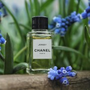 Les Exclusifs de Chanel Jersey Chanel 香水- 一款2011年女用香水