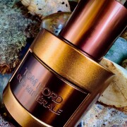 Oud Minérale (2023) Tom Ford 香水 - 2023年のユニセックス フレグランス