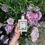 Gucci Bloom Acqua di Fiori Gucci perfume - a fragrance for